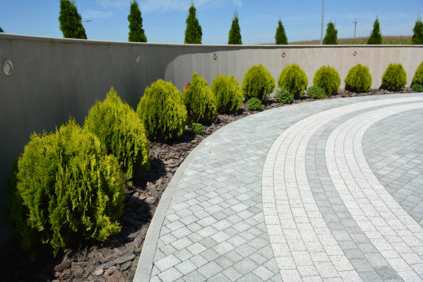 Reasons to Select Us for Your Driveway Paving Requirements in Georgetown, IL